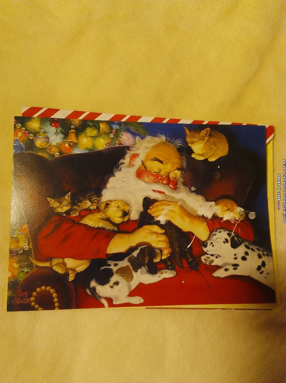 Christmas Greeting Card Bundle - Snowman & Holiday Scenes